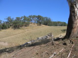dry landscape