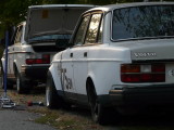 P1090297.JPG
