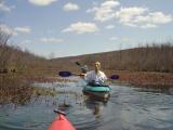 Kayaking  Musconetcong River 