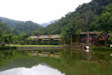 wild elephant valley.jpg