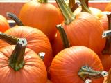 Pumpkin Time_2005.jpg