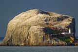 Bass Rock