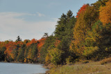 Autumn in a provincial park