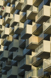 DM_DSC0034.jpg
