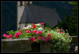 Flowers and Church