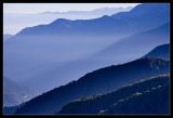 Alishan 阿里山