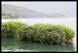 Sun Moon Lake