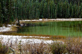 Roadside pond near Jasper