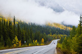 Autumn Road