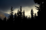 Lake Louise