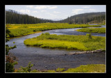 Yellowstone National Park