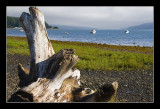 Olympic National Park