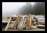 Driftwood