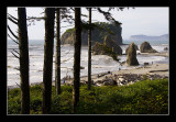 Ruby Beach