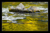 Mountain Stream