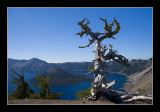 Crater Lake National Park