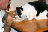 Frederik is eating oatmeal with dad / Frederik spiser havregryn sammen med far