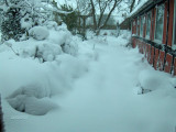 Sne 2007