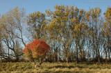 Amsterdamse Waterleiding Duinen