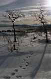 Along the Cowboy Trail - Rocky Mountain foothills