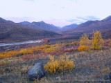 Tombstone Mountains