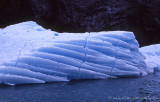 Tracy Arm Fjord