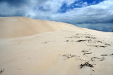 White Dunes, Nambung National Park, Western Australia