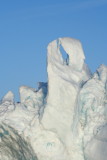 Natural Ice Sculpture: Two hugging Dolphins?