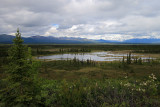 At Denali Hwy.