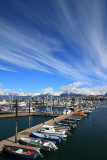 Homer harbor