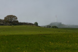 Hazy day