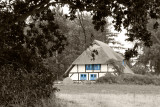 Ummanz Island