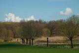 Springtime behind our house