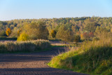 Autumn behind our house