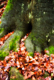 Schlosspark Lunzenau
