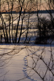 Traces in the snow