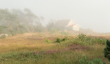 Fog over Strandbad