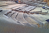 Jatiluwih rice terraces.