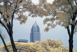 Lumphini Park