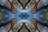 Don't look up !
