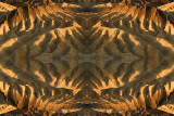 Zabriskie 2