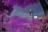 Ayutthaya