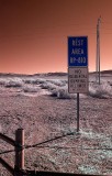 Roadside, Nevada.