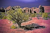 Arches National Park