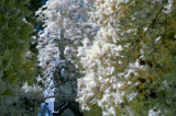 Riverview Cemetery