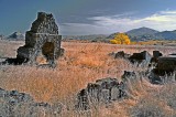 Abandoned homestead.