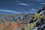 Sequoia National Park