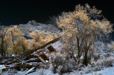 Sego Ghost Town, Utah
