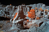 San Jose Badlands