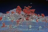 San Jose Badlands